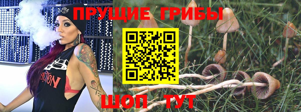 Саянск  Псилоцибиновые грибы прущие грибы  Вход с VPN  Галлюциногенные грибы мухоморы 