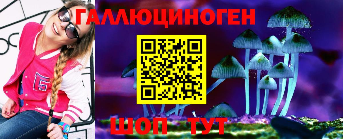 Галлюциногенные грибы Psilocybe Саянск